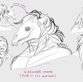 Mane designs